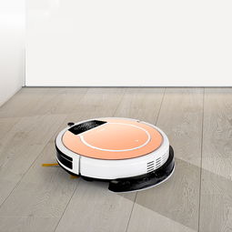 有了?，斕貟叩貦C(jī)器人,家里一塵不染就是如此簡(jiǎn)單