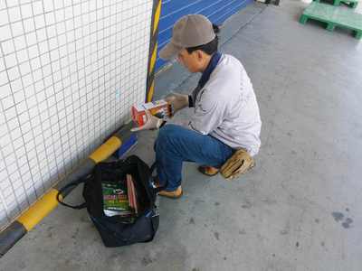 食品廠老鼠防治方案，早用早省心 清潔服務(wù)助您無(wú)憂(yōu)經(jīng)營(yíng)